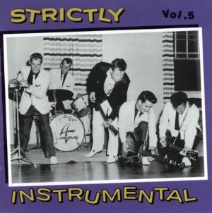 V.A. - Strickly Instrumental : Vol 5